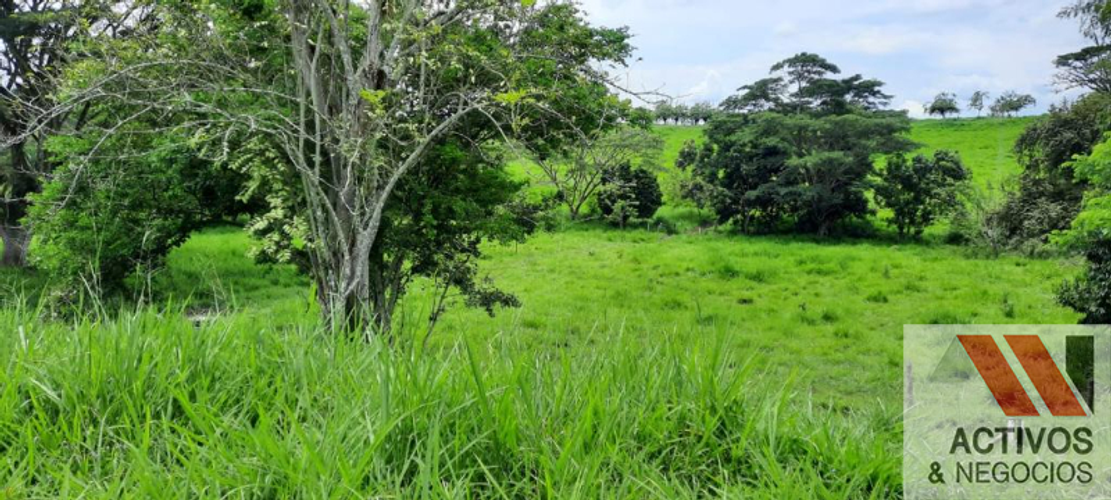 Finca en  Venta en Cruces, Cali - Miniatura 5