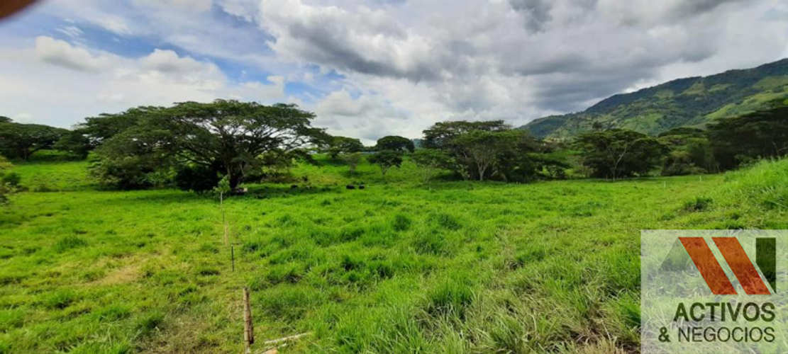 Finca en  Venta en Cruces, Cali - Miniatura 7