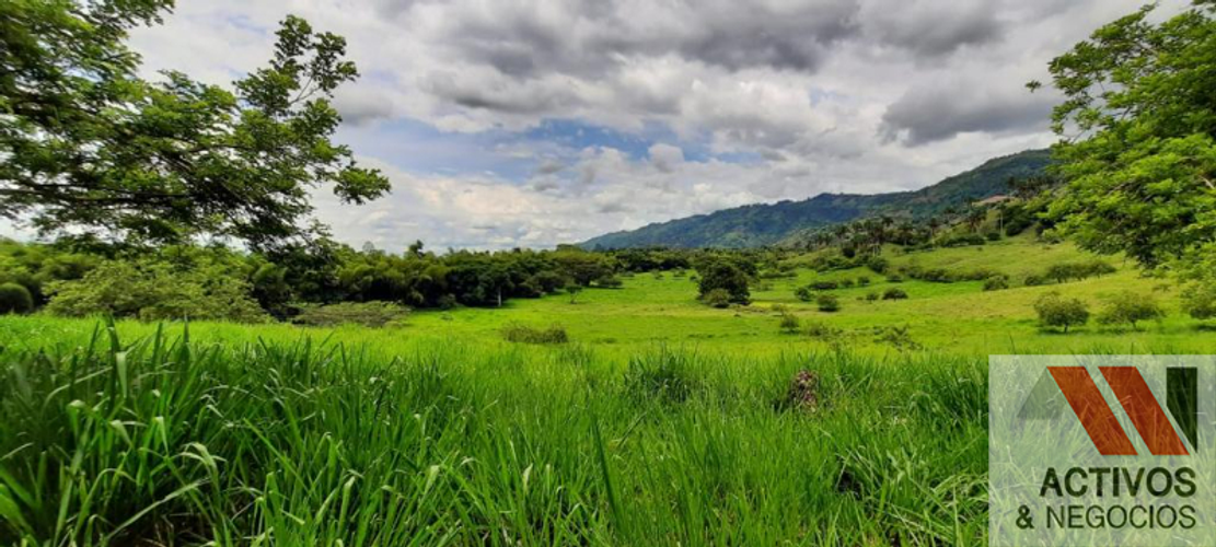Finca en  Venta en Cruces, Cali - Miniatura 10