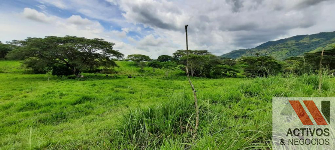 Finca en  Venta en Cruces, Cali - Miniatura 11