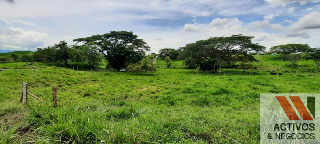 Finca en  Venta en Cruces, Cali - Miniatura 12