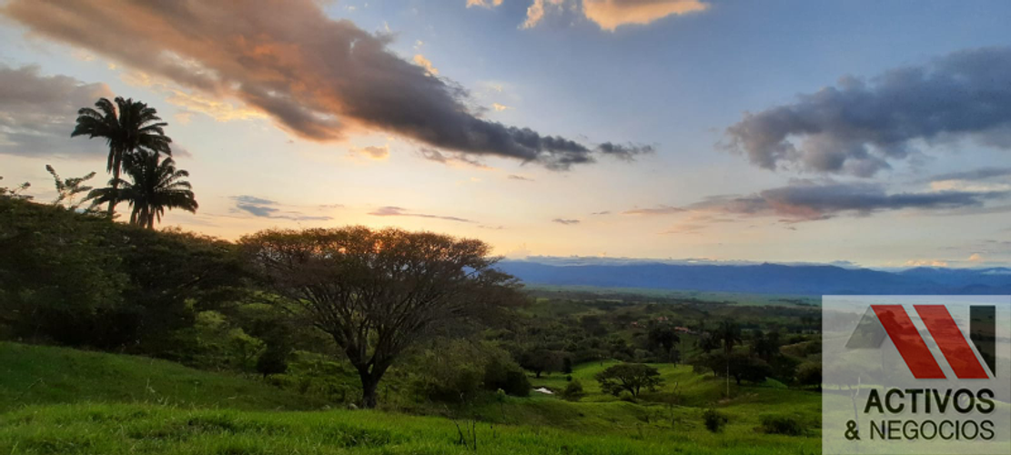 Finca en  Venta en Cruces, Cali - Miniatura 14