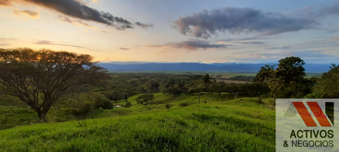 Finca en  Venta en Cruces, Cali - Miniatura 15