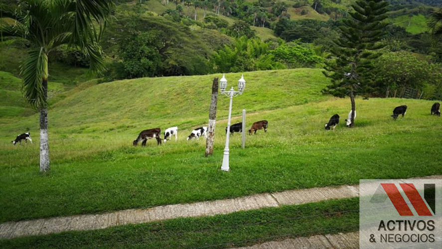 Finca en  Venta en Cruces, Cali - Miniatura 18