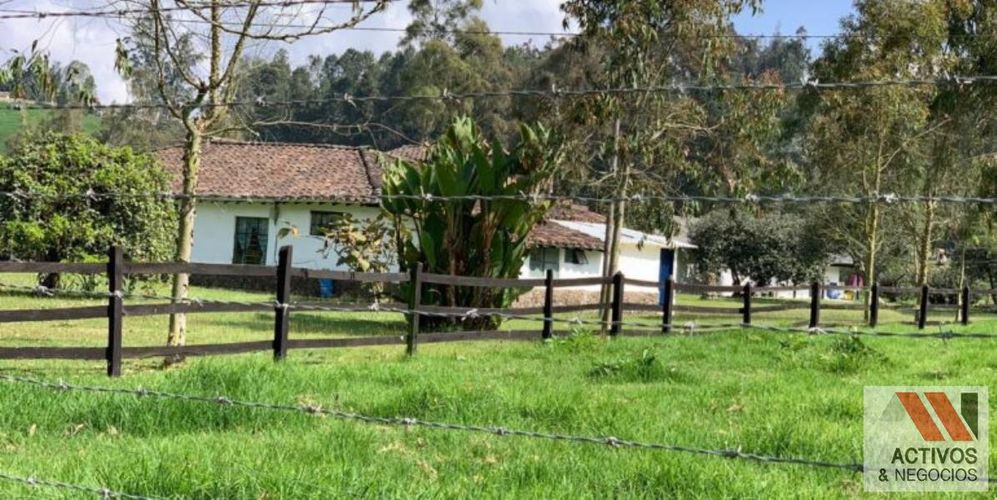 Finca en  Arriendo en Tesorerito, Sabanalarga - Miniatura 2