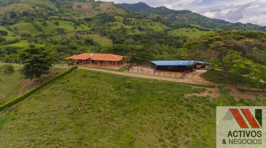 Finca en  Venta en Cruces, Cali - Miniatura 21