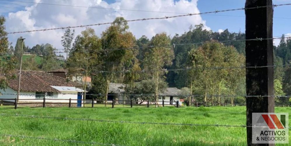 Finca en  Arriendo en Tesorerito, Sabanalarga - Miniatura 3