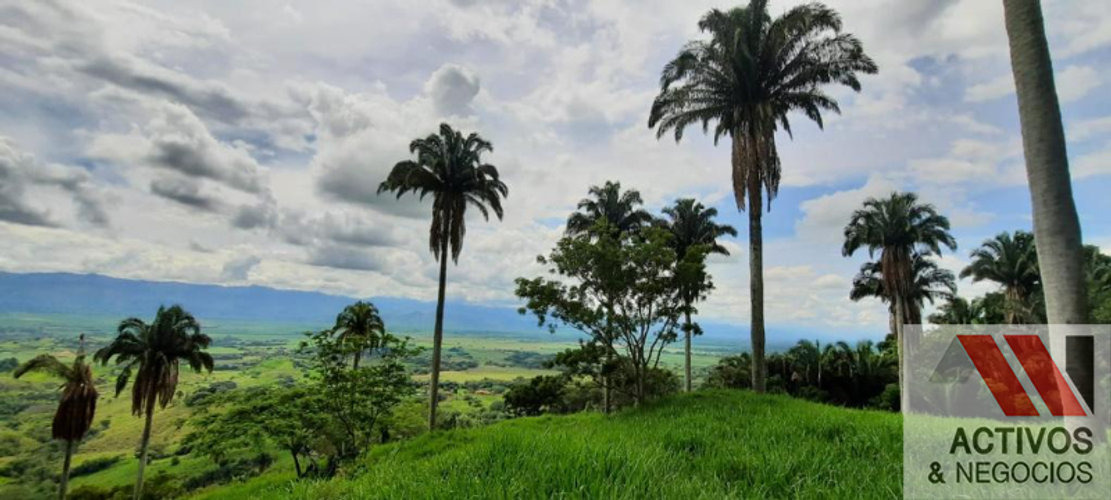 Finca en  Venta en Cruces, Cali - Miniatura 22