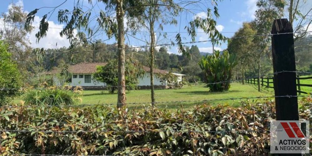 Finca en  Arriendo en Tesorerito, Sabanalarga - Miniatura 4