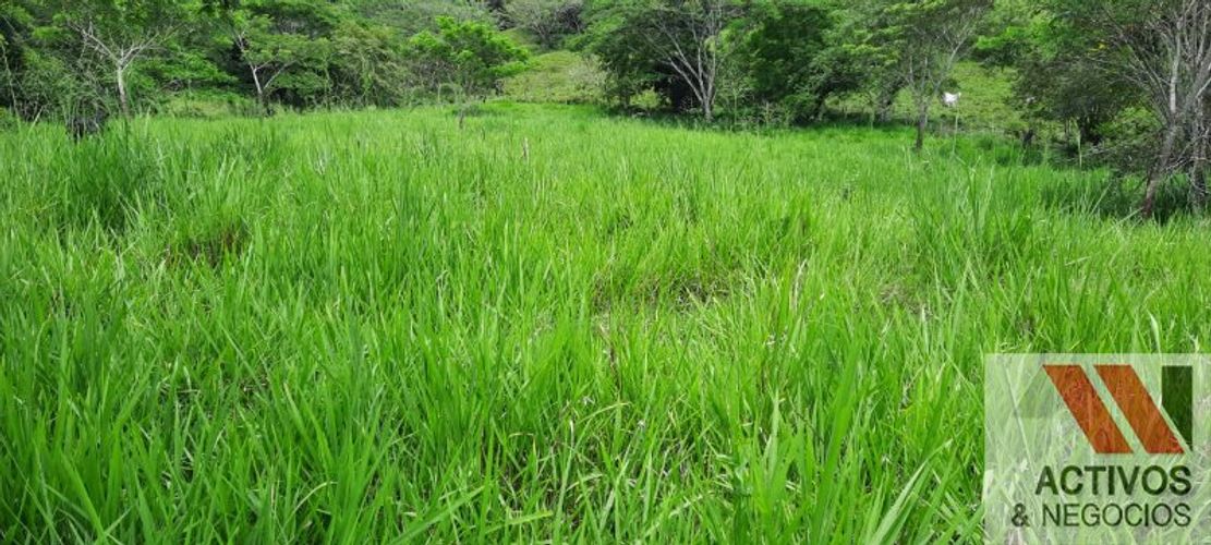 Finca en  Venta en Cruces, Cali - Miniatura 24