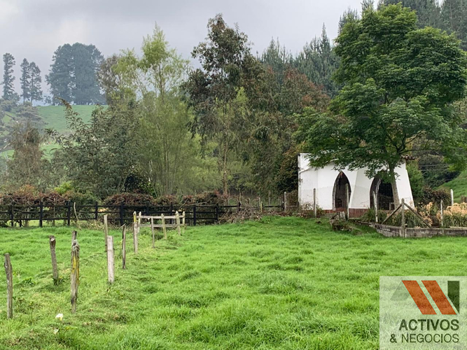 Finca en  Arriendo en Tesorerito, Sabanalarga - Miniatura 6