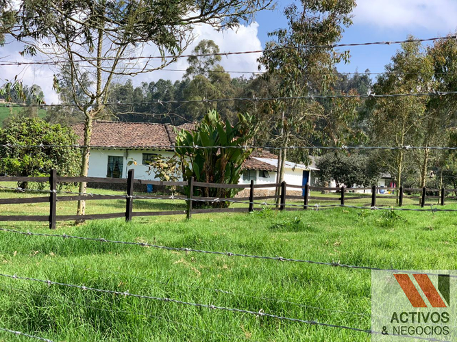 Finca en  Arriendo en Tesorerito, Sabanalarga - Miniatura 7