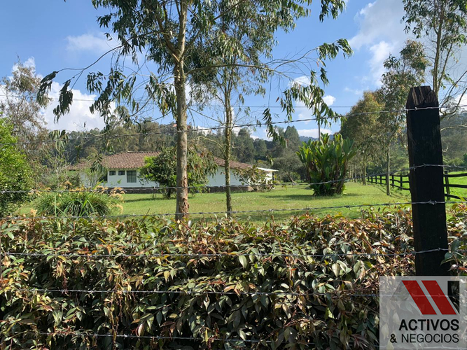 Finca en  Arriendo en Tesorerito, Sabanalarga - Miniatura 8