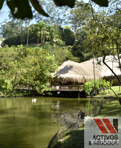 Finca en venta en Platanito parte baja, Barbosa - Miniatura 5