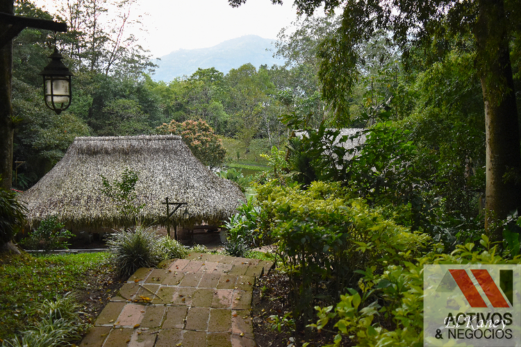 Finca en venta en Platanito parte baja, Barbosa - Miniatura 6