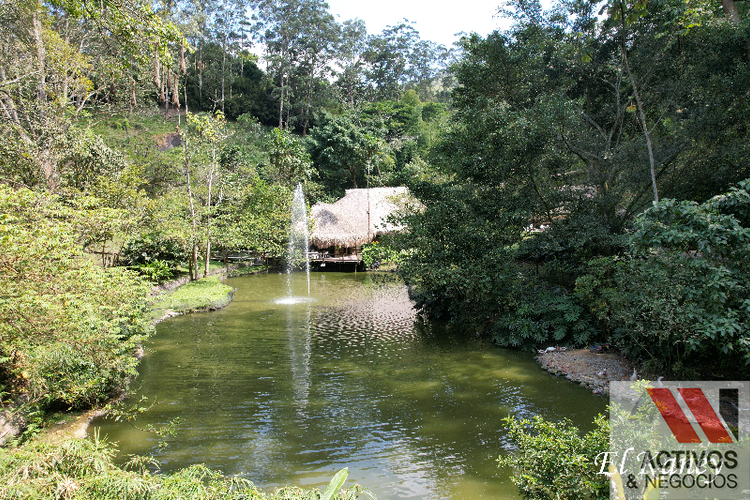 Finca en venta en Platanito parte baja, Barbosa - Miniatura 7