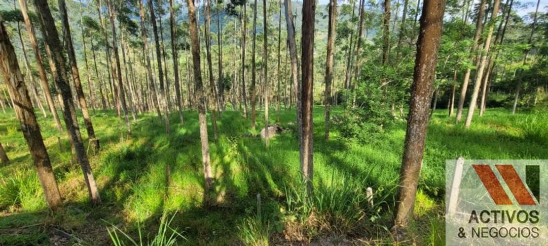 Finca en venta en Fredonia - Miniatura 6