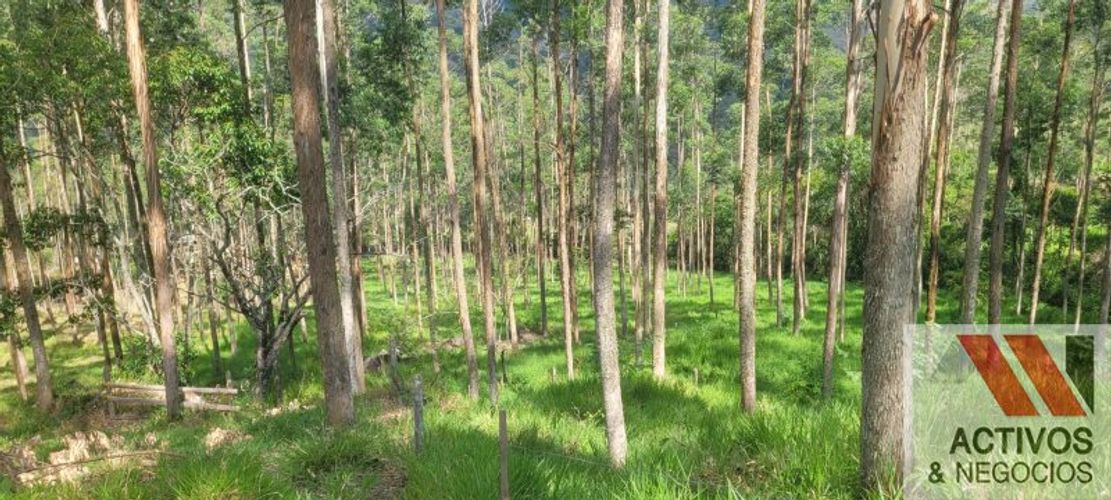 Finca en venta en Fredonia - Miniatura 7