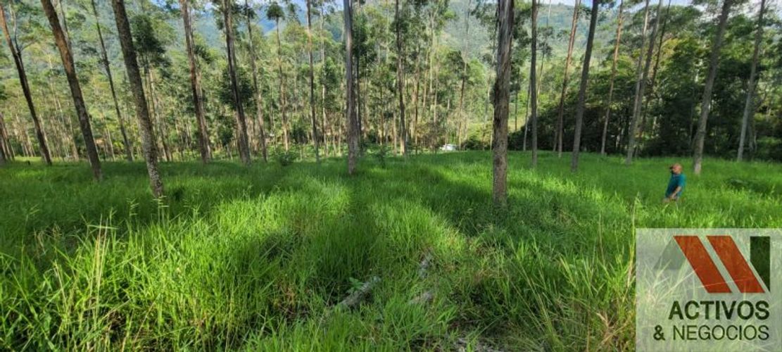 Finca en venta en Fredonia - Miniatura 10