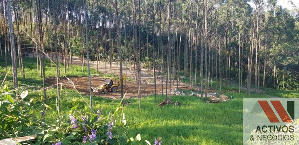 Finca en venta en Fredonia - Miniatura 12