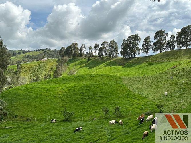 Finca en venta en Quitasol, Bello - Miniatura 2