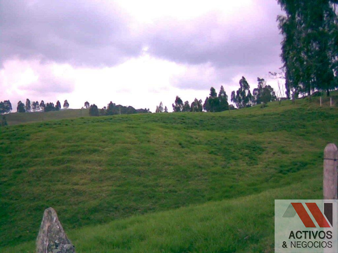 Finca en venta en Quitasol, Bello - Miniatura 4