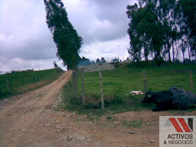 Finca en venta en Quitasol, Bello - Miniatura 6