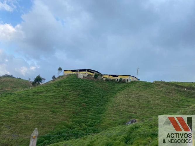 Finca en venta en Quitasol, Bello - Miniatura 10