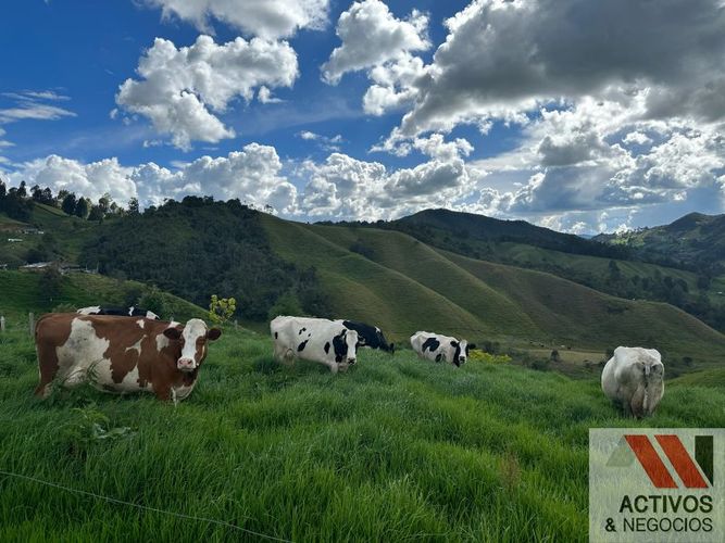 Finca en venta en Quitasol, Bello - Miniatura 12