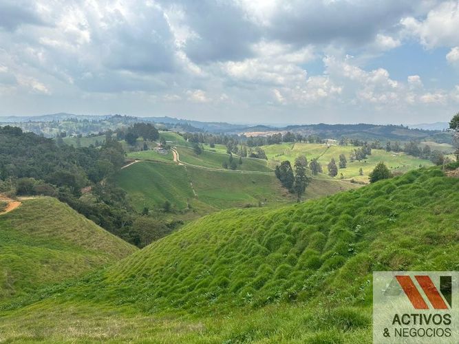 Finca en venta en Quitasol, Bello - Miniatura 14