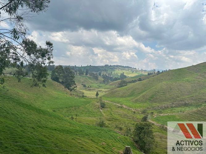 Finca en venta en Quitasol, Bello - Miniatura 15
