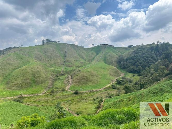 Finca en venta en Quitasol, Bello - Miniatura 18