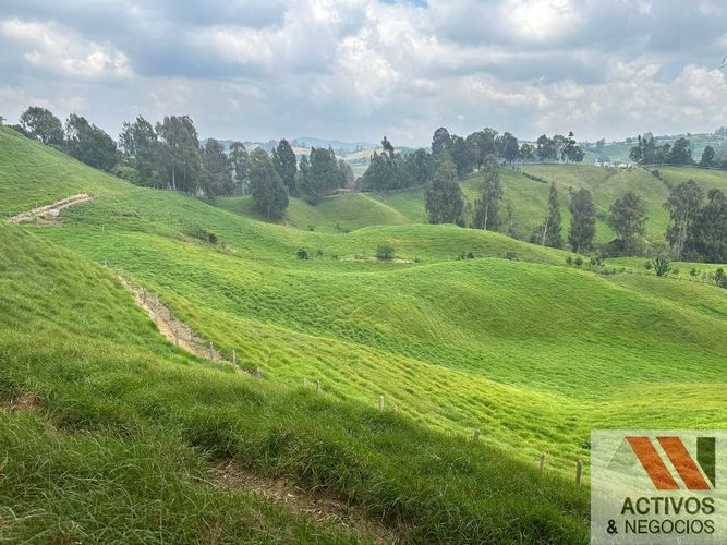 Finca en venta en Quitasol, Bello - Miniatura 22