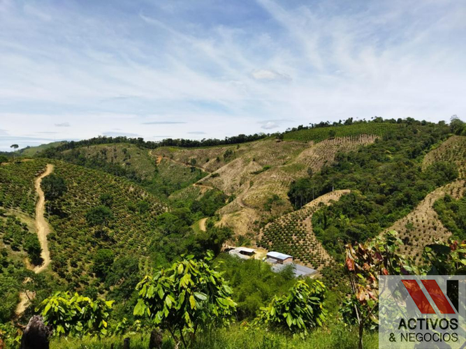 Finca en venta en La floresta, Maceo - Miniatura 2