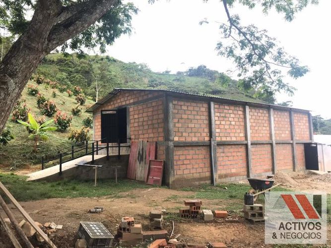 Finca en venta en La floresta, Maceo - Miniatura 8