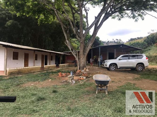 Finca en venta en La floresta, Maceo - Miniatura 9