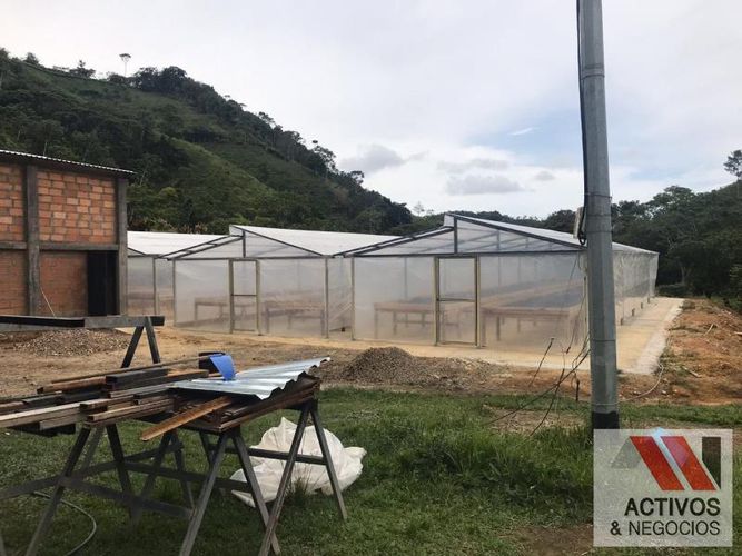 Finca en venta en La floresta, Maceo - Miniatura 10