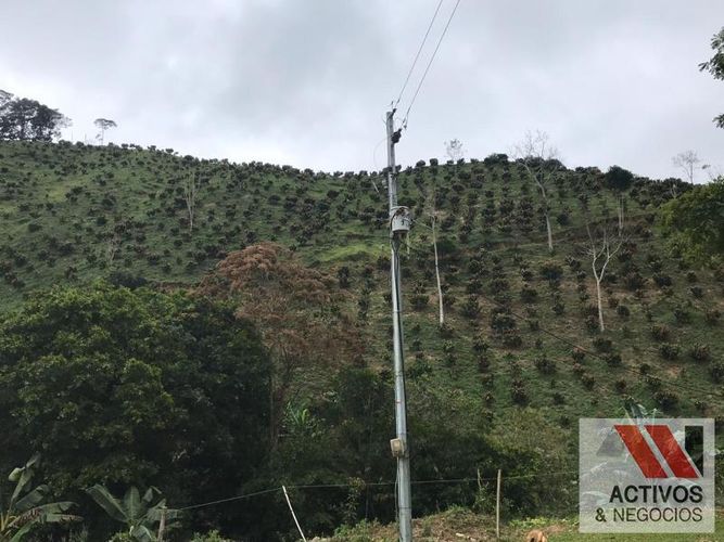 Finca en venta en La floresta, Maceo - Miniatura 13