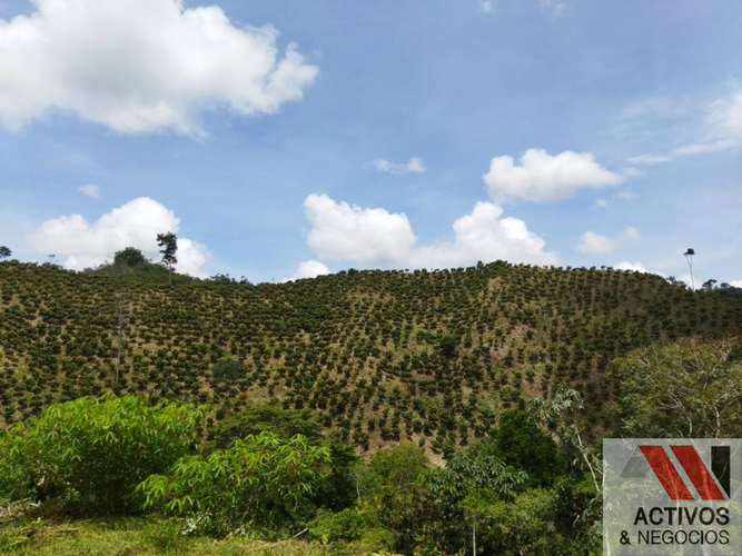Finca en venta en La floresta, Maceo - Miniatura 22
