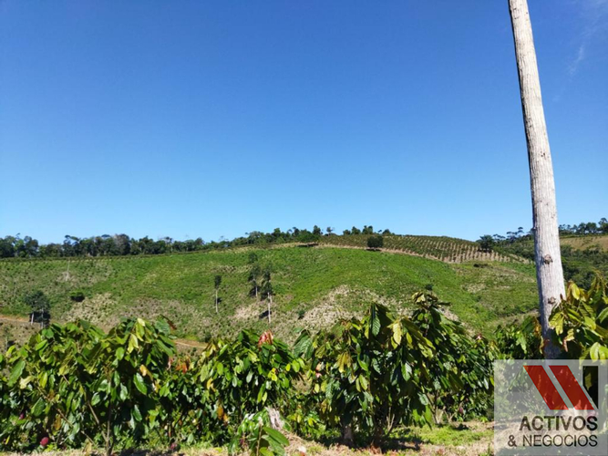 Finca en venta en La floresta, Maceo - Miniatura 24