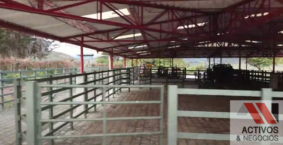 Finca en venta en El inidio, Urrao - Miniatura 6