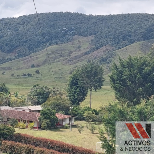 Finca en venta en El inidio, Urrao - Miniatura 7