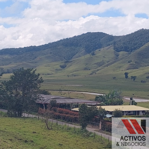 Finca en venta en El inidio, Urrao - Miniatura 8