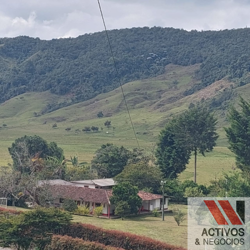 Finca en venta en El inidio, Urrao - Miniatura 9