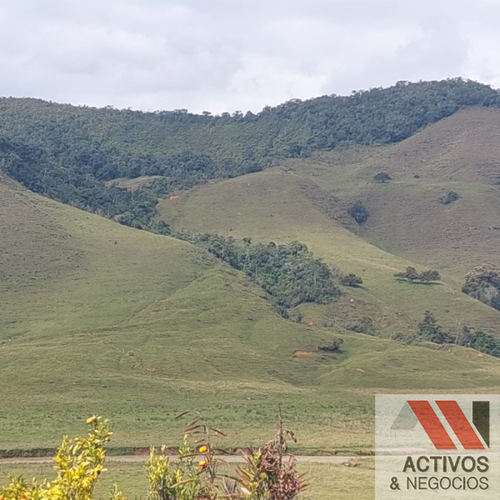 Finca en venta en El inidio, Urrao - Miniatura 15