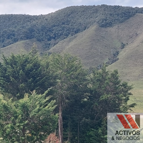Finca en venta en El inidio, Urrao - Miniatura 16