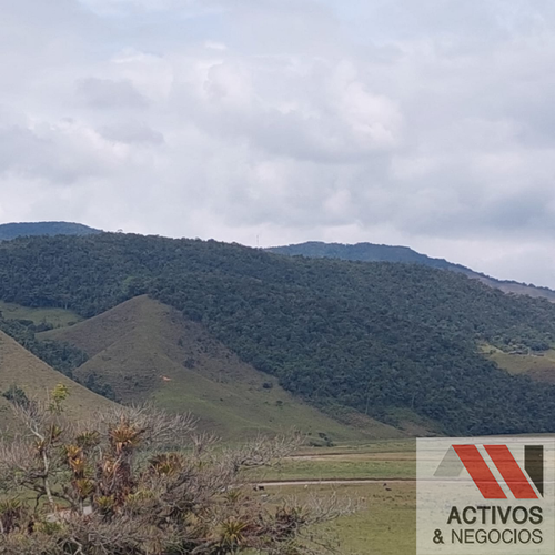 Finca en venta en El inidio, Urrao - Miniatura 18