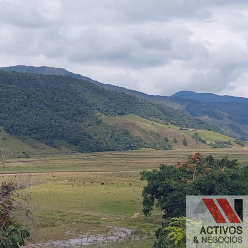 Finca en venta en El inidio, Urrao - Miniatura 20