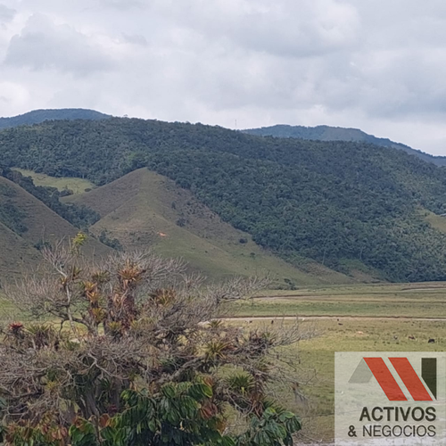Finca en venta en El inidio, Urrao - Miniatura 21