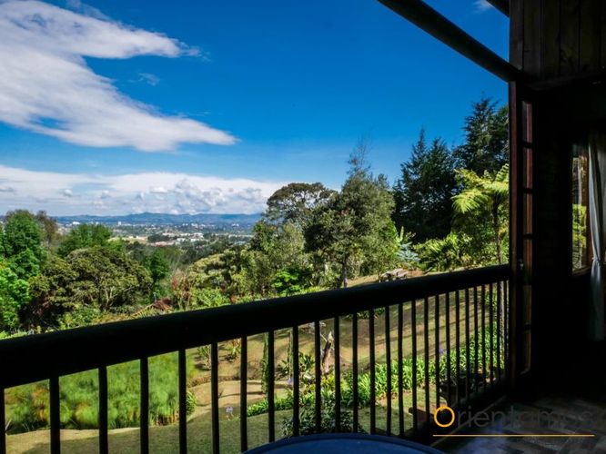 Finca en arriendo en Chachafruto, Rionegro - Miniatura 14